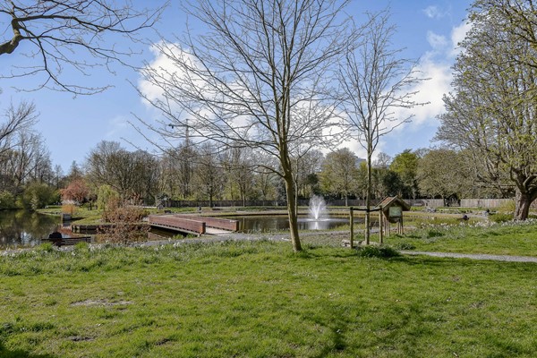 Medium property photo - Deurloostraat 117-2, 1078 HX Amsterdam